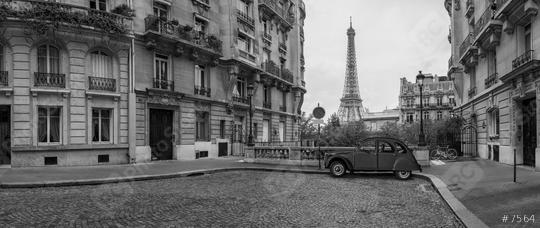 Avenue de Camoens with Eifel Tower in Paris SW panorama  : Stock Photo or Stock Video Download rcfotostock photos, images and assets rcfotostock | RC Photo Stock.: