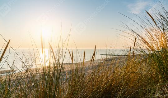 Baltic sea over sand dunes with ocean view, sunset summer evening  : Stock Photo or Stock Video Download rcfotostock photos, images and assets rcfotostock | RC Photo Stock.: