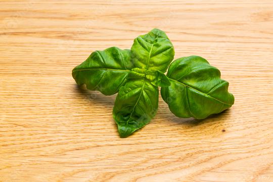 basil leaf  : Stock Photo or Stock Video Download rcfotostock photos, images and assets rcfotostock | RC Photo Stock.: