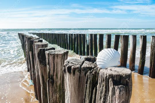 beach view at summer  : Stock Photo or Stock Video Download rcfotostock photos, images and assets rcfotostock | RC Photo Stock.: