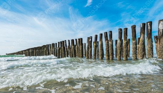 Beach with wooden wave breakers in the Seascape  : Stock Photo or Stock Video Download rcfotostock photos, images and assets rcfotostock | RC Photo Stock.: