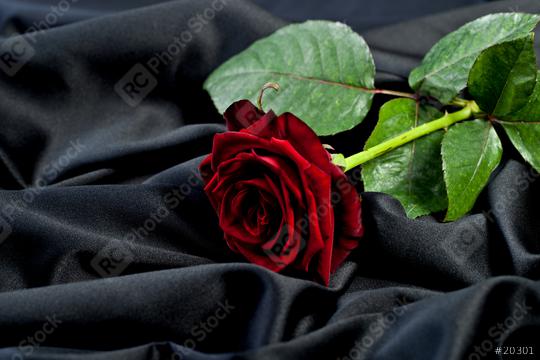 beautiful red rose on a background of black satin silk  : Stock Photo or Stock Video Download rcfotostock photos, images and assets rcfotostock | RC Photo Stock.: