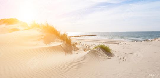 Beautiful sand dunes on the North Sea coast in Renesse, Zeeland, Holland  : Stock Photo or Stock Video Download rcfotostock photos, images and assets rcfotostock | RC Photo Stock.: