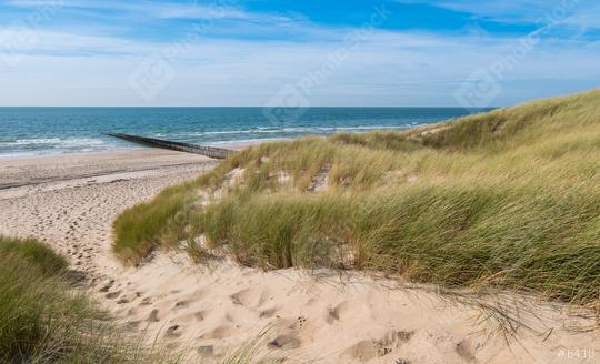 Beautiful sand dunes with ocean on the North Sea coast in Renesse, Zeeland, Holland  : Stock Photo or Stock Video Download rcfotostock photos, images and assets rcfotostock | RC Photo Stock.: