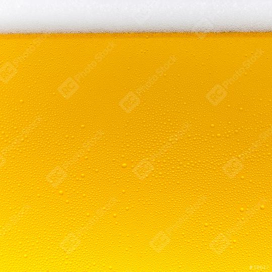 Beer foam crown drink alcohol with drops of condensation  : Stock Photo or Stock Video Download rcfotostock photos, images and assets rcfotostock | RC Photo Stock.: