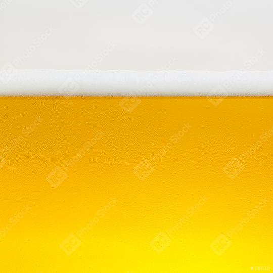 Beer foam crown with drops of condensation  : Stock Photo or Stock Video Download rcfotostock photos, images and assets rcfotostock | RC Photo Stock.: