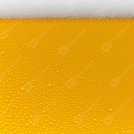 Beer foam crown with drops of condensation  : Stock Photo or Stock Video Download rcfotostock photos, images and assets rcfotostock | RC Photo Stock.: