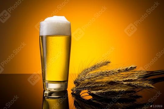 beer in a glass with corn ears  : Stock Photo or Stock Video Download rcfotostock photos, images and assets rcfotostock | RC Photo Stock.: