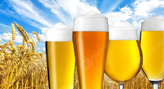 beer varieties in summer  : Stock Photo or Stock Video Download rcfotostock photos, images and assets rcfotostock | RC Photo Stock.: