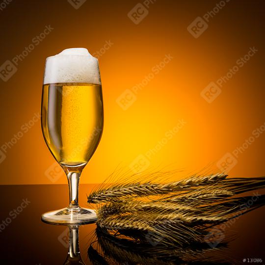 beer with corn  : Stock Photo or Stock Video Download rcfotostock photos, images and assets rcfotostock | RC Photo Stock.: