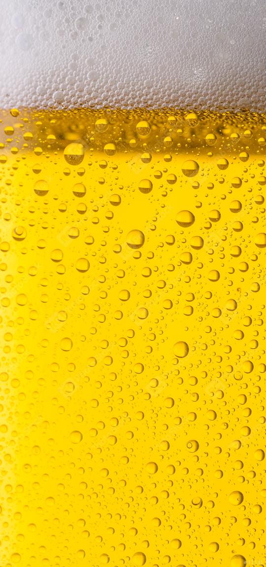 beer with dew  : Stock Photo or Stock Video Download rcfotostock photos, images and assets rcfotostock | RC Photo Stock.: