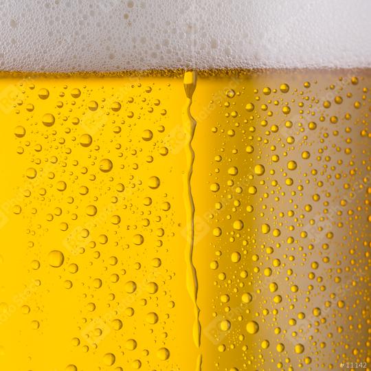 beer with drops of condensation  : Stock Photo or Stock Video Download rcfotostock photos, images and assets rcfotostock | RC Photo Stock.: