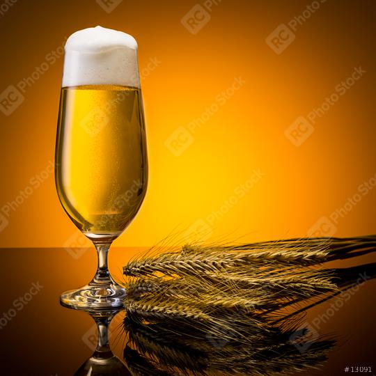 beer with froth crown and corn  : Stock Photo or Stock Video Download rcfotostock photos, images and assets rcfotostock | RC Photo Stock.: