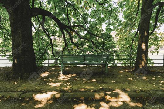 Bench in the park under trees  : Stock Photo or Stock Video Download rcfotostock photos, images and assets rcfotostock | RC Photo Stock.: