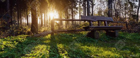 bench on a hiking trail at sunset  : Stock Photo or Stock Video Download rcfotostock photos, images and assets rcfotostock | RC Photo Stock.: