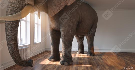 Big elephant calm in a apartment as a funny lack of space and pet concept image  : Stock Photo or Stock Video Download rcfotostock photos, images and assets rcfotostock | RC Photo Stock.: