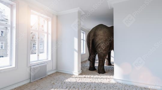 Big elephant from behind in a small room with beach sand on the ground as a funny space problem concept image  : Stock Photo or Stock Video Download rcfotostock photos, images and assets rcfotostock | RC Photo Stock.: