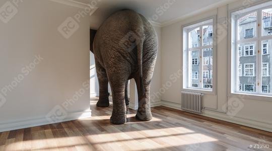 Big elephant in apartment as a funny lack of space and pet concept image  : Stock Photo or Stock Video Download rcfotostock photos, images and assets rcfotostock | RC Photo Stock.: