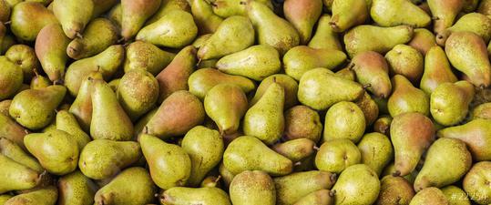 Big pile of Pears on marke, vegan food  : Stock Photo or Stock Video Download rcfotostock photos, images and assets rcfotostock | RC Photo Stock.: