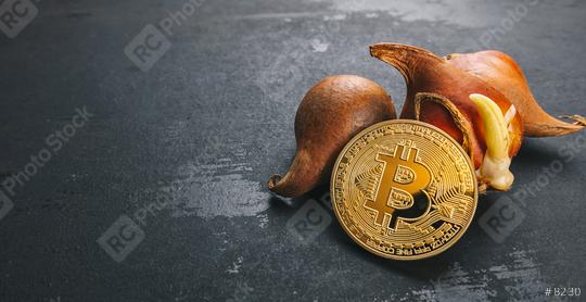 Bitcoin cryptocurrency Coin with Tulip bulbs -Tulip mania market crash concept image  : Stock Photo or Stock Video Download rcfotostock photos, images and assets rcfotostock | RC Photo Stock.: