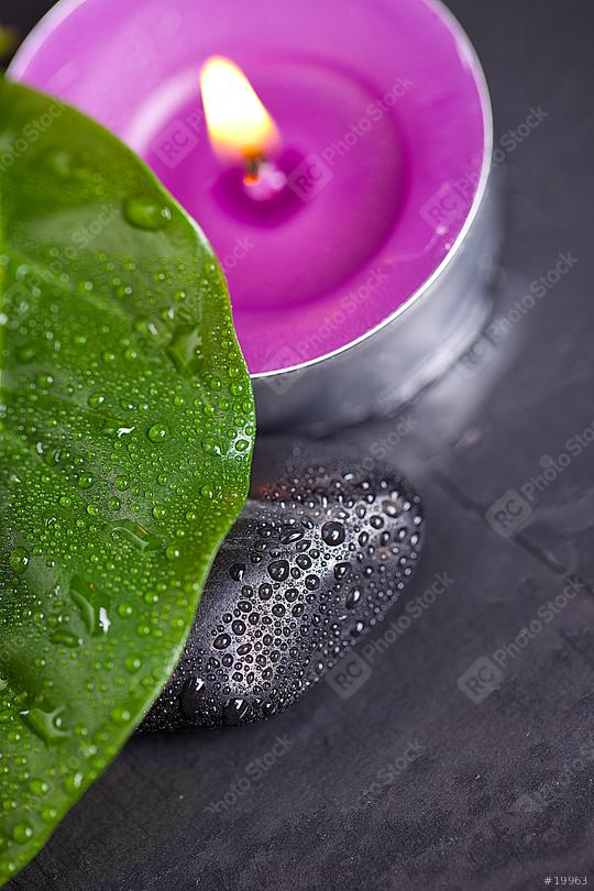 black stone with green leave an candel on black stone background  : Stock Photo or Stock Video Download rcfotostock photos, images and assets rcfotostock | RC Photo Stock.: