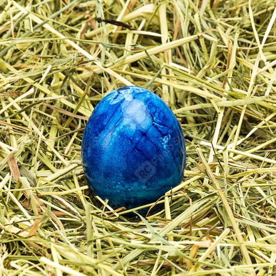 blue easter egg lies in hay  : Stock Photo or Stock Video Download rcfotostock photos, images and assets rcfotostock | RC Photo Stock.: