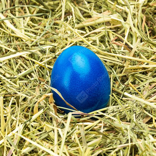 blue easter egg on hay  : Stock Photo or Stock Video Download rcfotostock photos, images and assets rcfotostock | RC Photo Stock.: