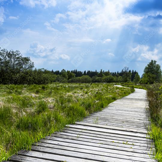 boardwalk bog landscape with cloud sky  : Stock Photo or Stock Video Download rcfotostock photos, images and assets rcfotostock | RC Photo Stock.: