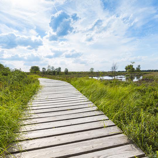 boardwalk in bog veen landscape with cloud sky  : Stock Photo or Stock Video Download rcfotostock photos, images and assets rcfotostock | RC Photo Stock.: