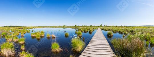 boardwalk over a bog lake at the Hautes Fagnes panorama  : Stock Photo or Stock Video Download rcfotostock photos, images and assets rcfotostock | RC Photo Stock.: