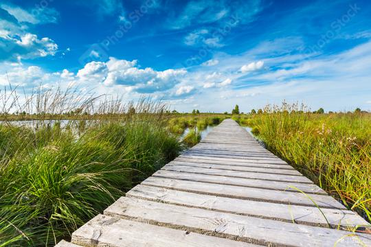 boardwalk over a bog lake with Blue Cloudy Sky  : Stock Photo or Stock Video Download rcfotostock photos, images and assets rcfotostock | RC Photo Stock.: