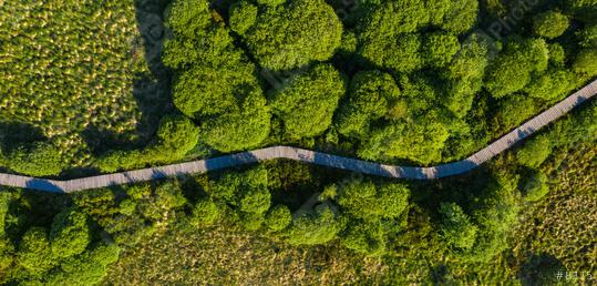 Boardwalk Trail in the Hohes Venn at the Eifel National Park, Drone Shot  : Stock Photo or Stock Video Download rcfotostock photos, images and assets rcfotostock | RC Photo Stock.: