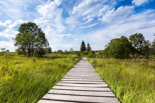 boardwalk with trees in bog veen landscape with cloud sky  : Stock Photo or Stock Video Download rcfotostock photos, images and assets rcfotostock | RC-Photo-Stock.: