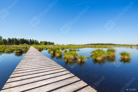 bog bond with wooden trail at the High Fens (Hautes Fagnes)  : Stock Photo or Stock Video Download rcfotostock photos, images and assets rcfotostock | RC Photo Stock.: