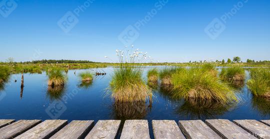 bog lake at spring on the High Fens (Hautes Fagnes)  : Stock Photo or Stock Video Download rcfotostock photos, images and assets rcfotostock | RC Photo Stock.: