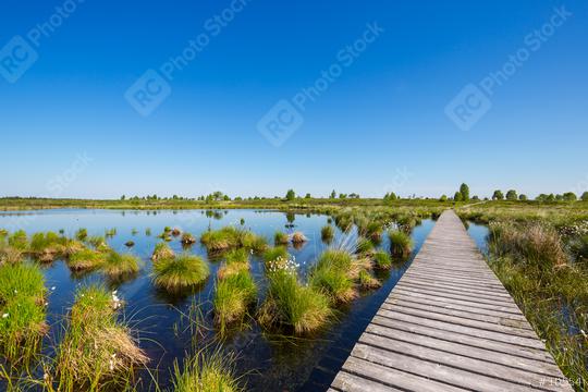bog lake in a bog landscape at the Hautes Fagnes (Hohes Venn)  : Stock Photo or Stock Video Download rcfotostock photos, images and assets rcfotostock | RC Photo Stock.: