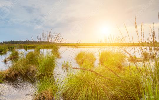 Bog lake with sunset in Belgium Veen landscape  : Stock Photo or Stock Video Download rcfotostock photos, images and assets rcfotostock | RC Photo Stock.:
