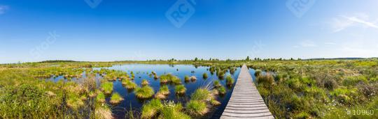 bog landscape High Fens (Hautes Fagnes) panorama  : Stock Photo or Stock Video Download rcfotostock photos, images and assets rcfotostock | RC Photo Stock.: