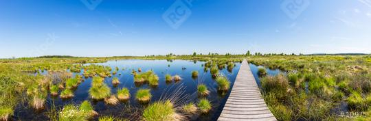 bog landscape with wooden trail over a lake panorama  : Stock Photo or Stock Video Download rcfotostock photos, images and assets rcfotostock | RC Photo Stock.: