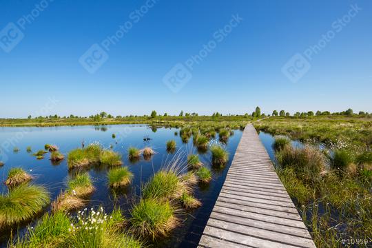 bog pond at the High Fens (Hohes Venn) at spring in belgium  : Stock Photo or Stock Video Download rcfotostock photos, images and assets rcfotostock | RC Photo Stock.: