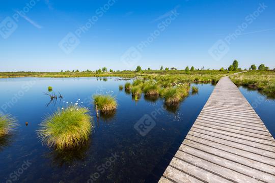 bog pond at the Hohes Venn (Hautes Fagnes)  : Stock Photo or Stock Video Download rcfotostock photos, images and assets rcfotostock | RC Photo Stock.: