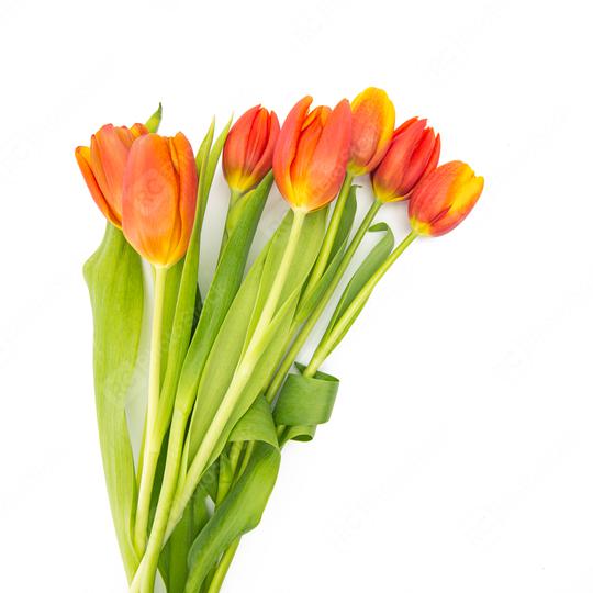 bouquet of orange tulips  : Stock Photo or Stock Video Download rcfotostock photos, images and assets rcfotostock | RC Photo Stock.: