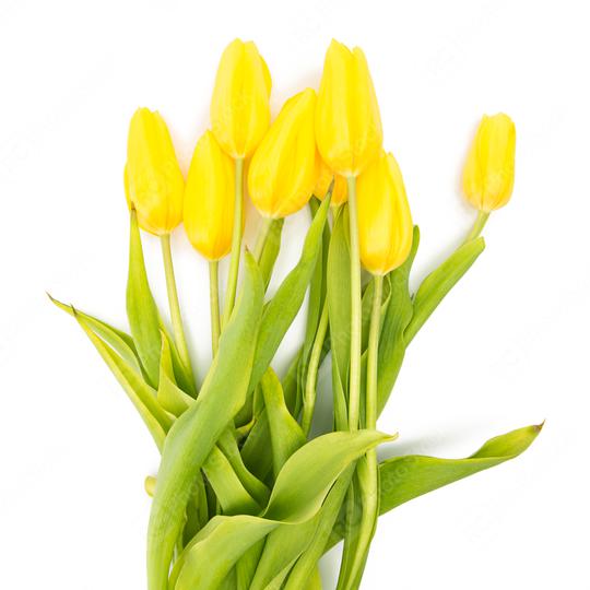 bouquet of yellow tulips  : Stock Photo or Stock Video Download rcfotostock photos, images and assets rcfotostock | RC Photo Stock.: