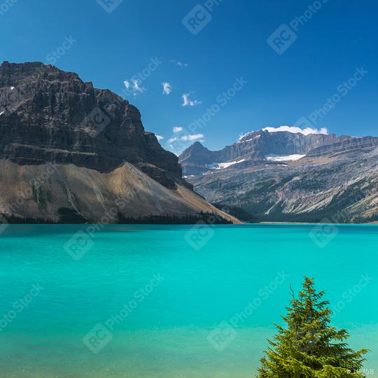 Bow Lake at Rocky Mountains in canada   : Stock Photo or Stock Video Download rcfotostock photos, images and assets rcfotostock | RC Photo Stock.: