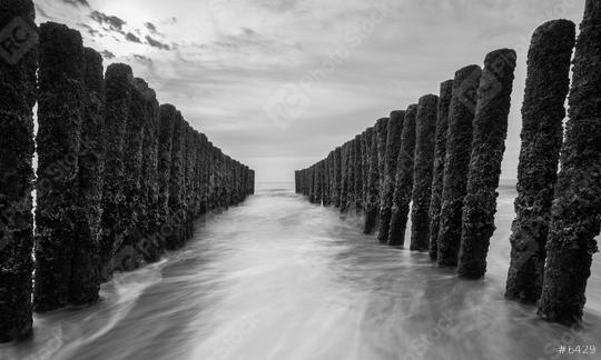 breakwaters at the baltic sea in black and white colors  : Stock Photo or Stock Video Download rcfotostock photos, images and assets rcfotostock | RC Photo Stock.: