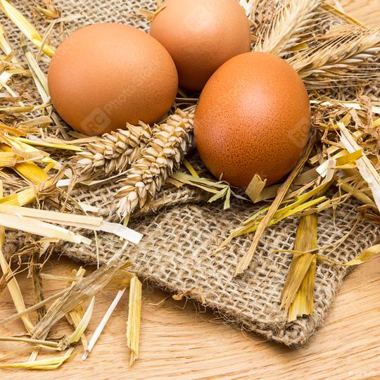 brown eggs from the farm  : Stock Photo or Stock Video Download rcfotostock photos, images and assets rcfotostock | RC Photo Stock.: