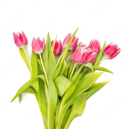 Bunch of pink tulips  : Stock Photo or Stock Video Download rcfotostock photos, images and assets rcfotostock | RC Photo Stock.: