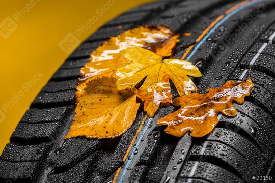 Canadian car car tires with autumn leafs and raindrops   : Stock Photo or Stock Video Download rcfotostock photos, images and assets rcfotostock | RC Photo Stock.: