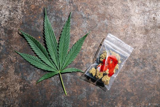 Cannabis buds in a plastic bag with drugstore sign and Hemp leaf. Concept of herbal alternative medicine, cbd oil, pharmaceutical industry or illegal drug use  : Stock Photo or Stock Video Download rcfotostock photos, images and assets rcfotostock | RC Photo Stock.: