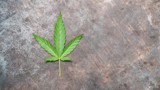 cannabis leaf on old metallic table.  copyspace for your individual text.  : Stock Photo or Stock Video Download rcfotostock photos, images and assets rcfotostock | RC Photo Stock.: